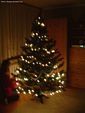 2005-12-18 Warszawa Ubieranie Choinki 4.jpg